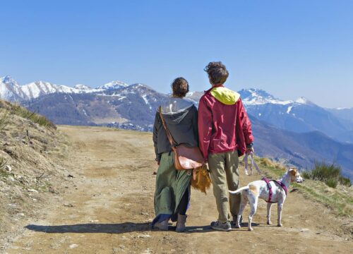 Triund Group Trekking ( 3 Night 4 Day )