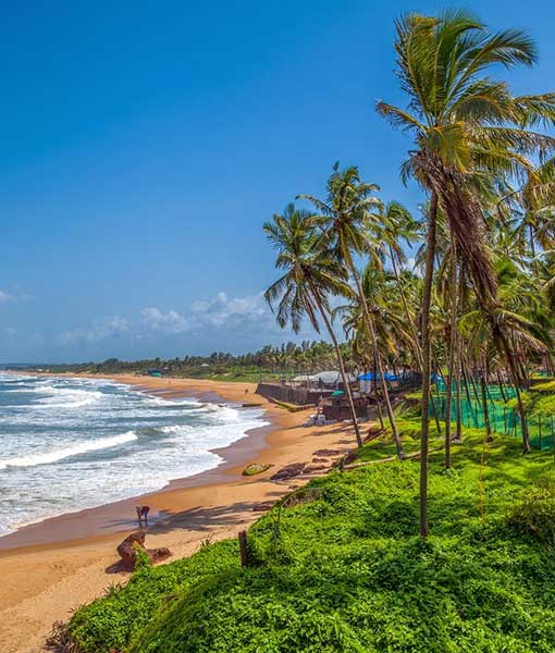 Goa