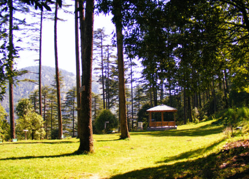 Dhanaulti Camping ( 2 Night 3 Day )